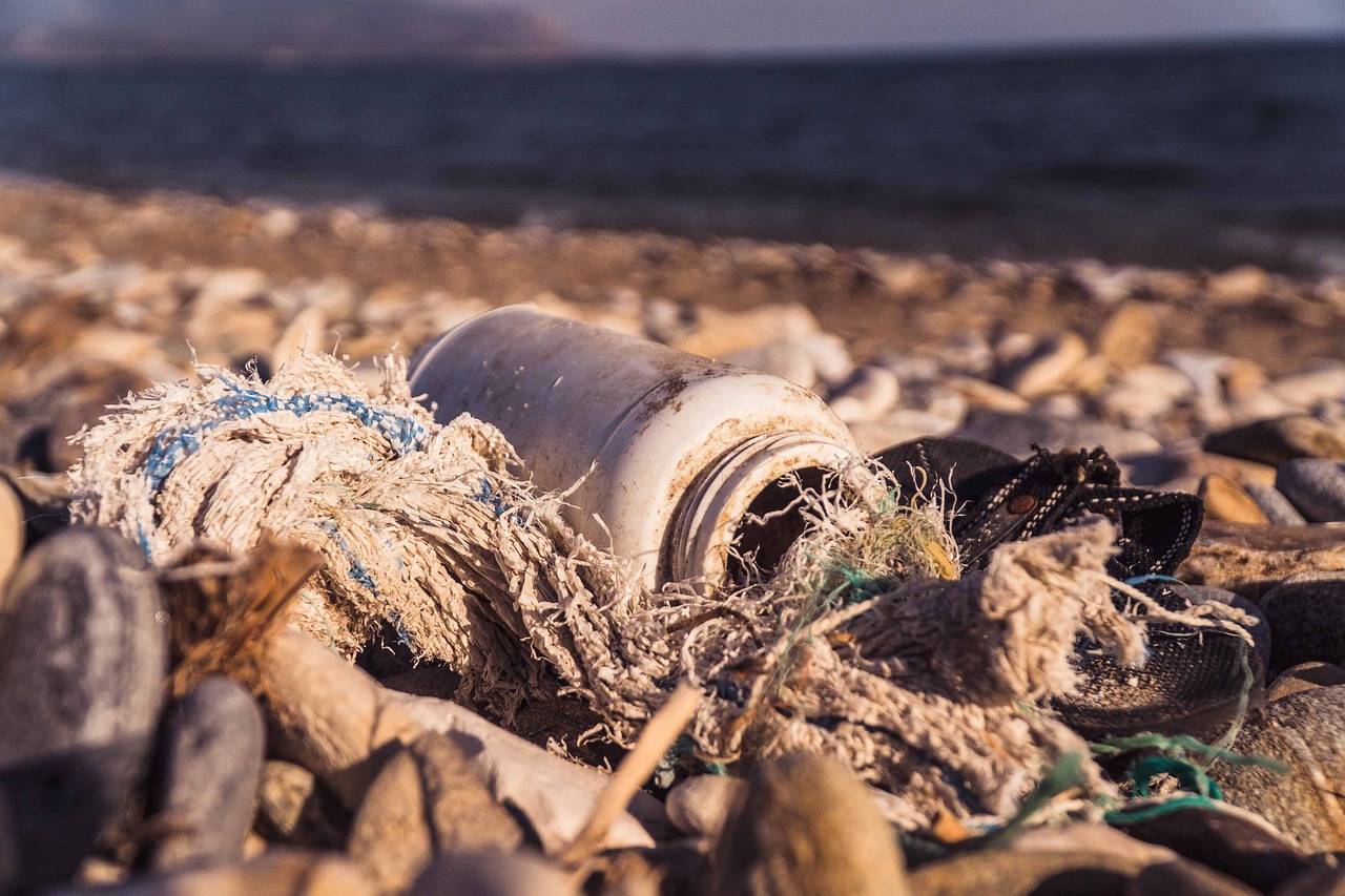 The Future of Recycling - What Does It Look Like?